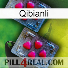 Qibianli 14